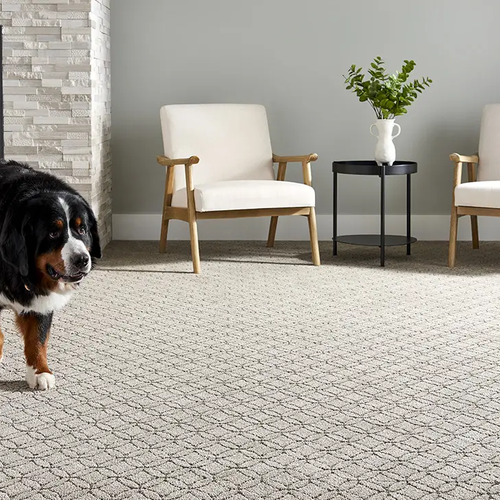 American-Flooring-Lansing-Carpet-Gallery-3