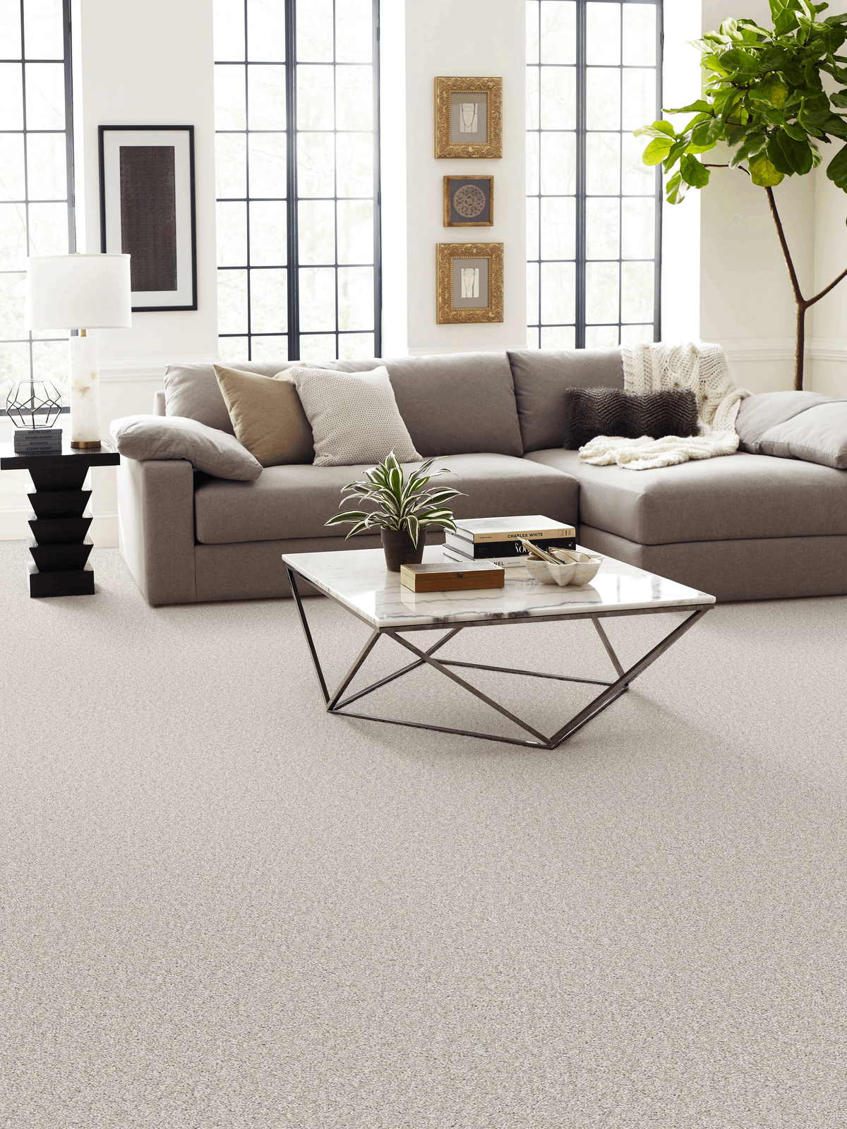 Carpet-American-Flooring-HGTV-Gallery-Images-11-(TonalComfortI-5E656-00154-RM-V)