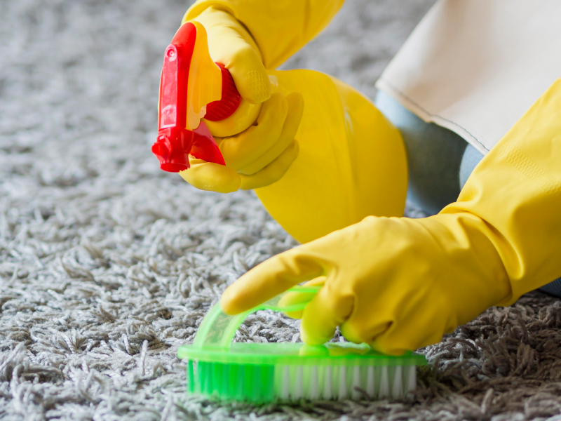 Carpet-Cleaning-800x800