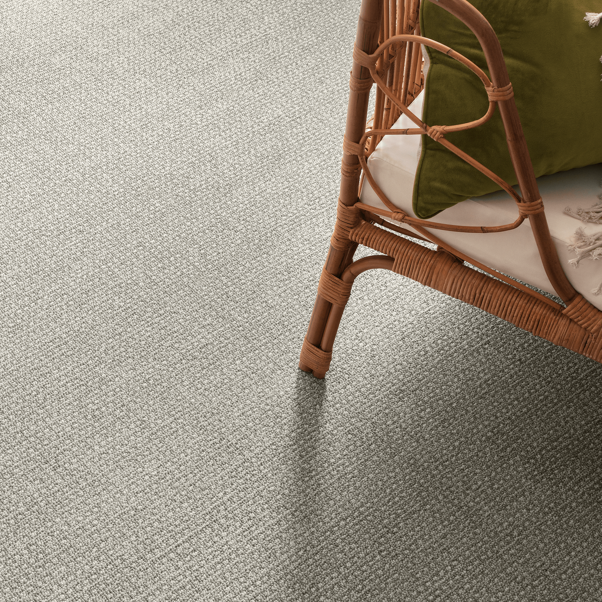 Carpet-American-Flooring-HGTV-Gallery-Images-4-(ZZ074-Fetch-712-Briarwood)